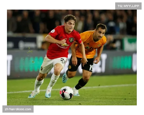 英超狼队1比1战平布莱顿费布鲁亨乌龙范黑克破门两队各取一分